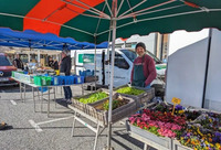 Marché hebdomadaire de Olemps