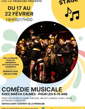 STAGE : Comédie musicale