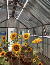 La Cabane du Bonheur