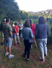 photo animation arbres et paysage