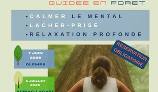 Sylvothérapie: bain de foret - Olemps