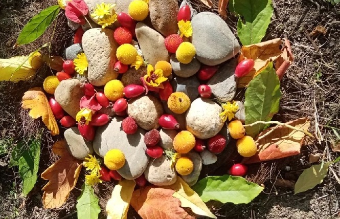 Besoin de Nature  - Balade artistico poétique 1 - Sainte-Radegonde