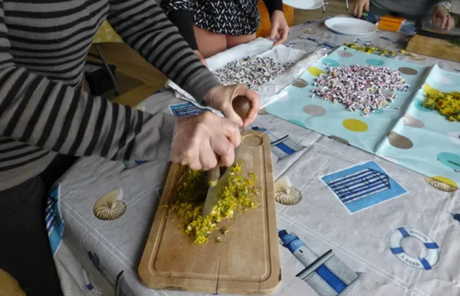 Capucine et Marjolaine- Découverte de la nature et conseillère en santé naturelle 12 - Rodez