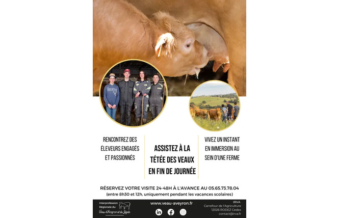 Visite de ferme du veau d'Aveyron et du Ségala 5 - Rodez