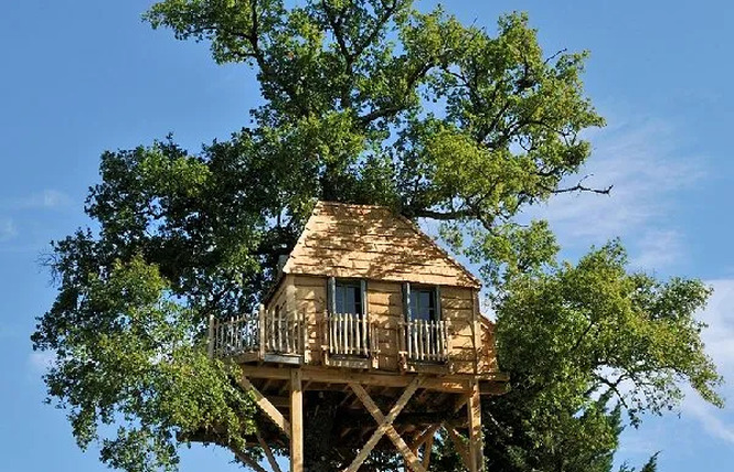 Le Château de Labro et sa Cabane Perchée 1 - Onet-le-Château