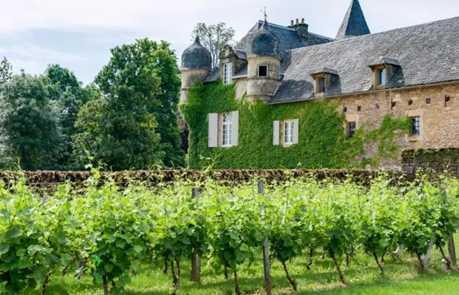 Le Château de Labro et sa Cabane Perchée 5 - Onet-le-Château