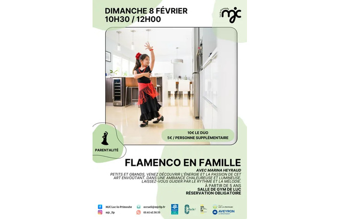 LOISIRS EN FAMILLE : Flamenco 2 - Luc-la-Primaube