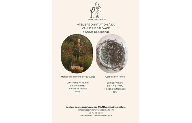 Vannerie sauvage en ronce 2 - Sainte-Radegonde