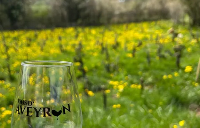Découverte du Domaine de l'Obre : vignes, cave & dégustation 1 - Druelle Balsac