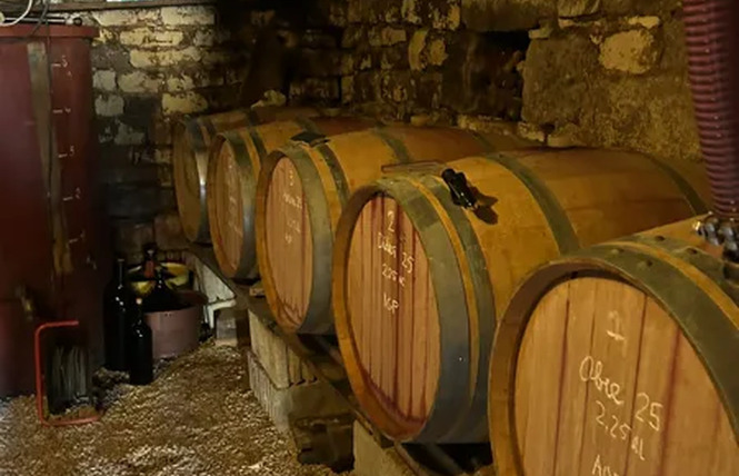 Découverte du Domaine de l'Obre : vignes, cave & dégustation 4 - Druelle Balsac