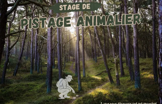 Stage - Pistage Animalier - Adultes 2 - Druelle Balsac