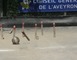 Comité Aveyronnais de Bowling et sport de Quilles 6 - Onet-le-Château