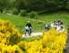 AIR GLOBE - VINTAGE TRAIL 2 - Rodez