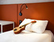 HOTEL IBIS RODEZ CENTRE 25 - Rodez