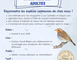 Stage oiseaux (Adultes) 2 - Druelle Balsac