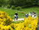 AIR GLOBE - VINTAGE TRAIL 2 - Rodez