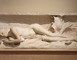NUIT DES MUSEES - Les visites flashs