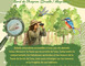 Balade Nature - La Faune des bords de l'Aveyron 2 - Druelle Balsac